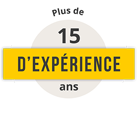 experience experience